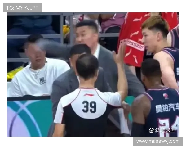 广州排球队配合问题引发热议球迷与专家观点交锋